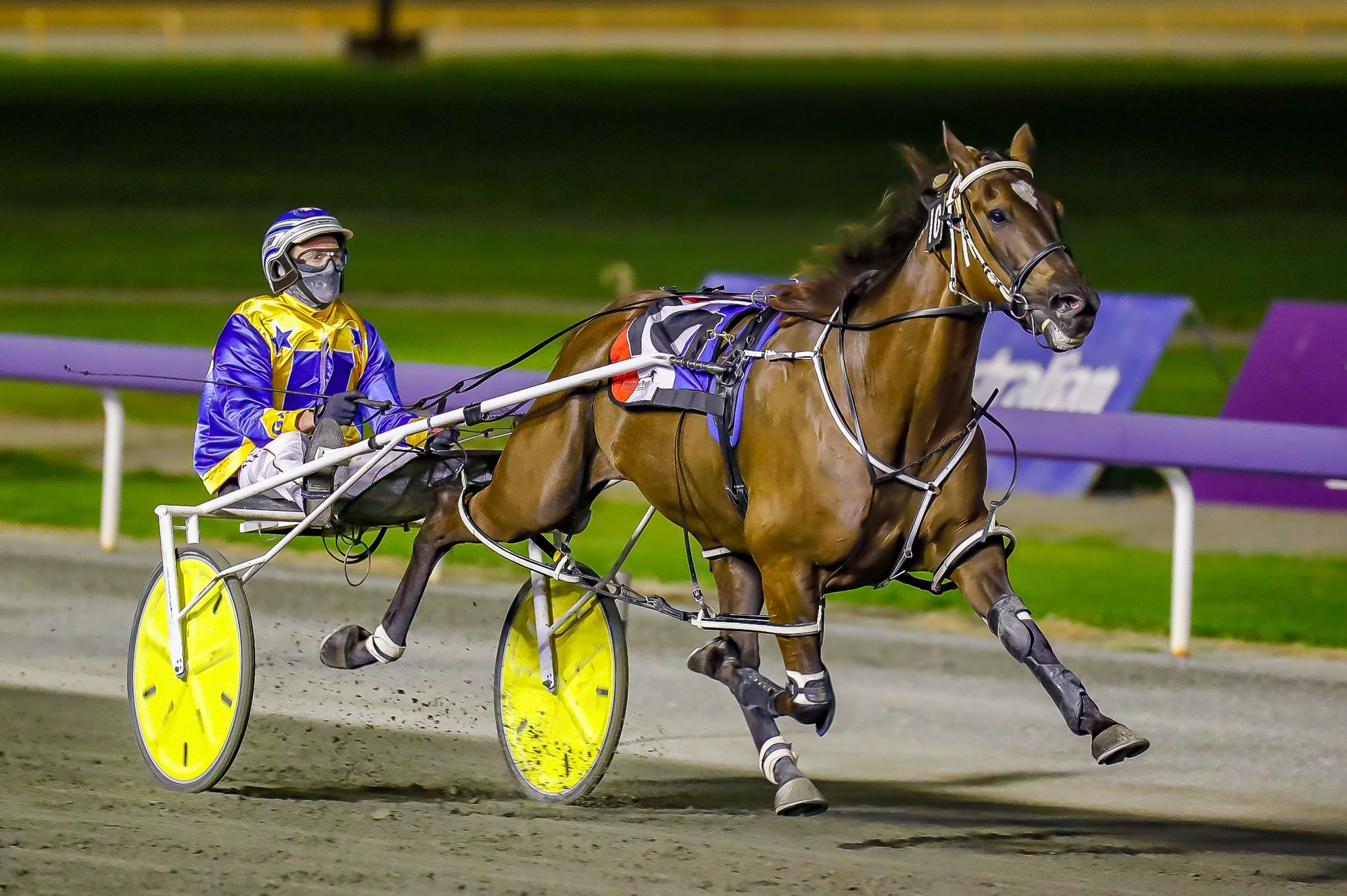 Matai Geordie 19022021