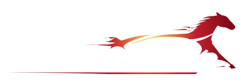 Gloucester Park Harness Racing