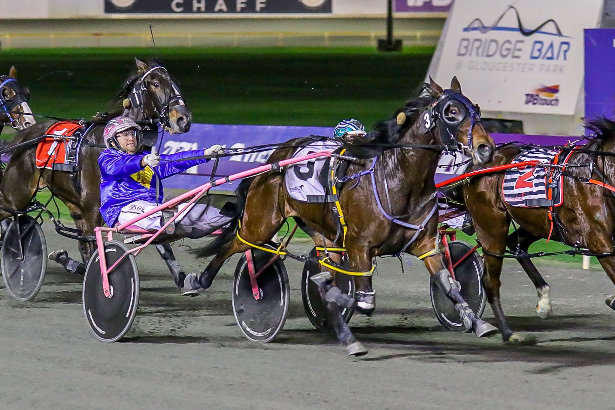 Black Jack Baby 6062020