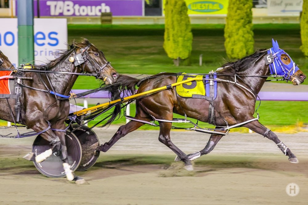 Heavens Showgirl 23042021