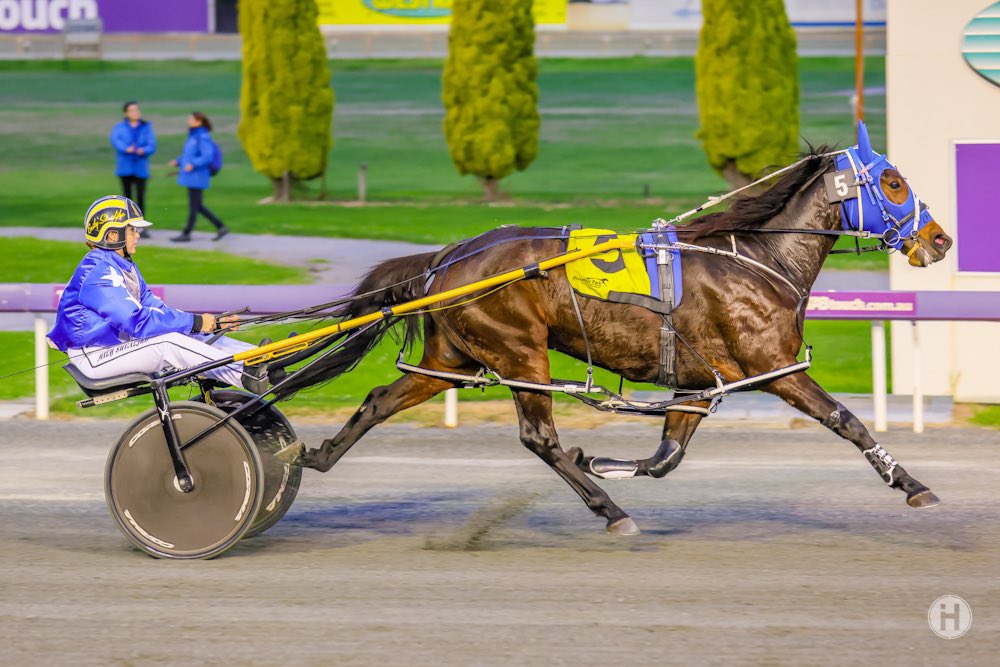 Heavens Showgirl 14052021