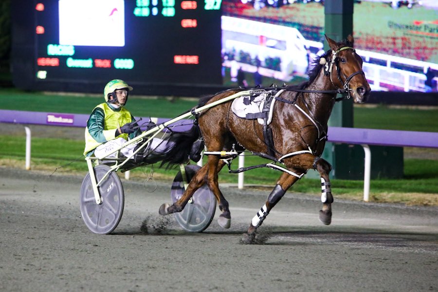 Miss Boudica 28052021