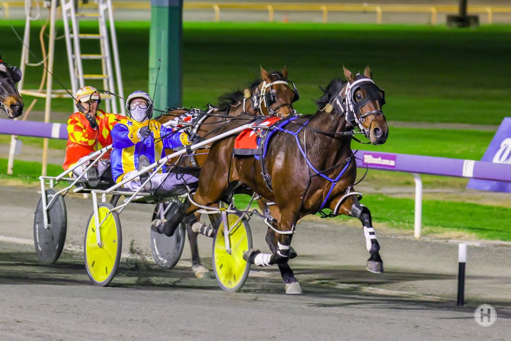 Nota Bene Denario 14052021