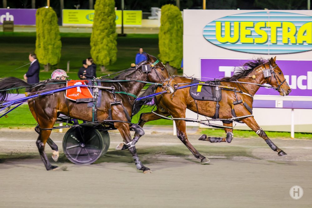 Smart Fortune 14052021