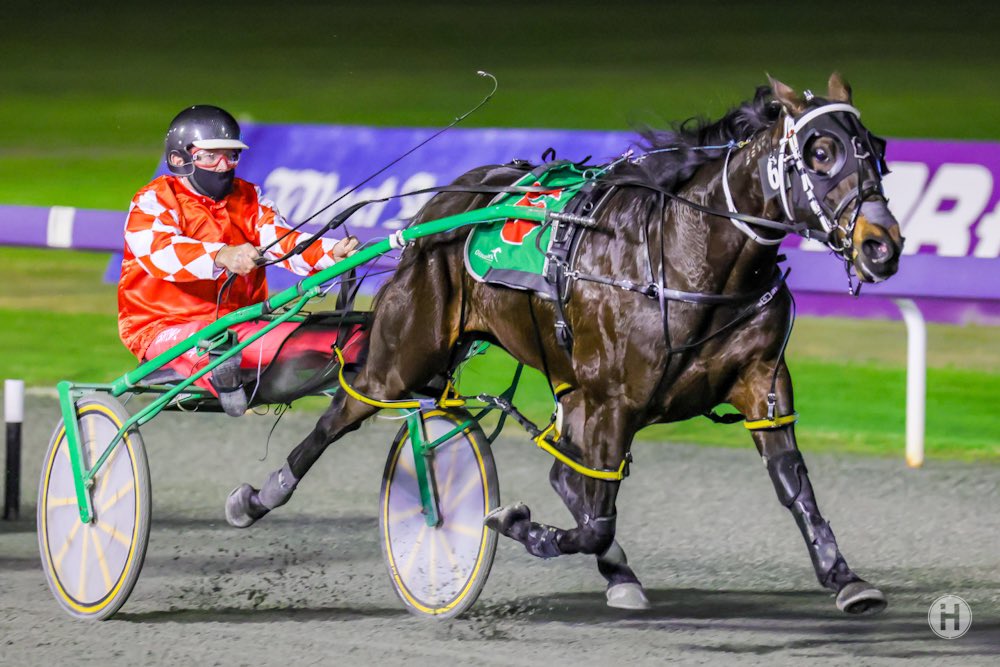 Fifty Five Reborn 020721