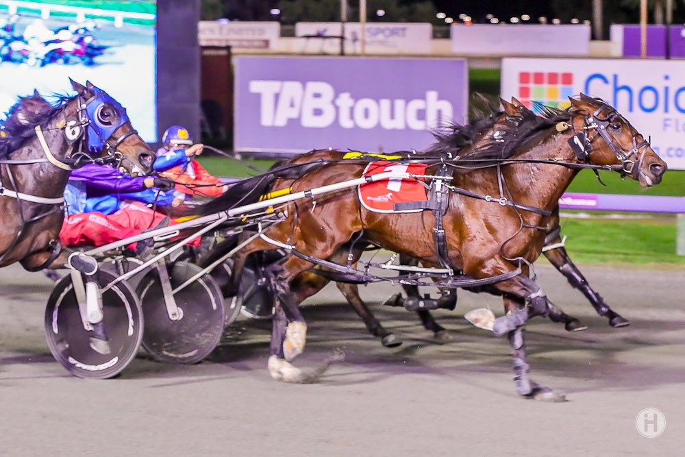 Seven No Trumps – 300721