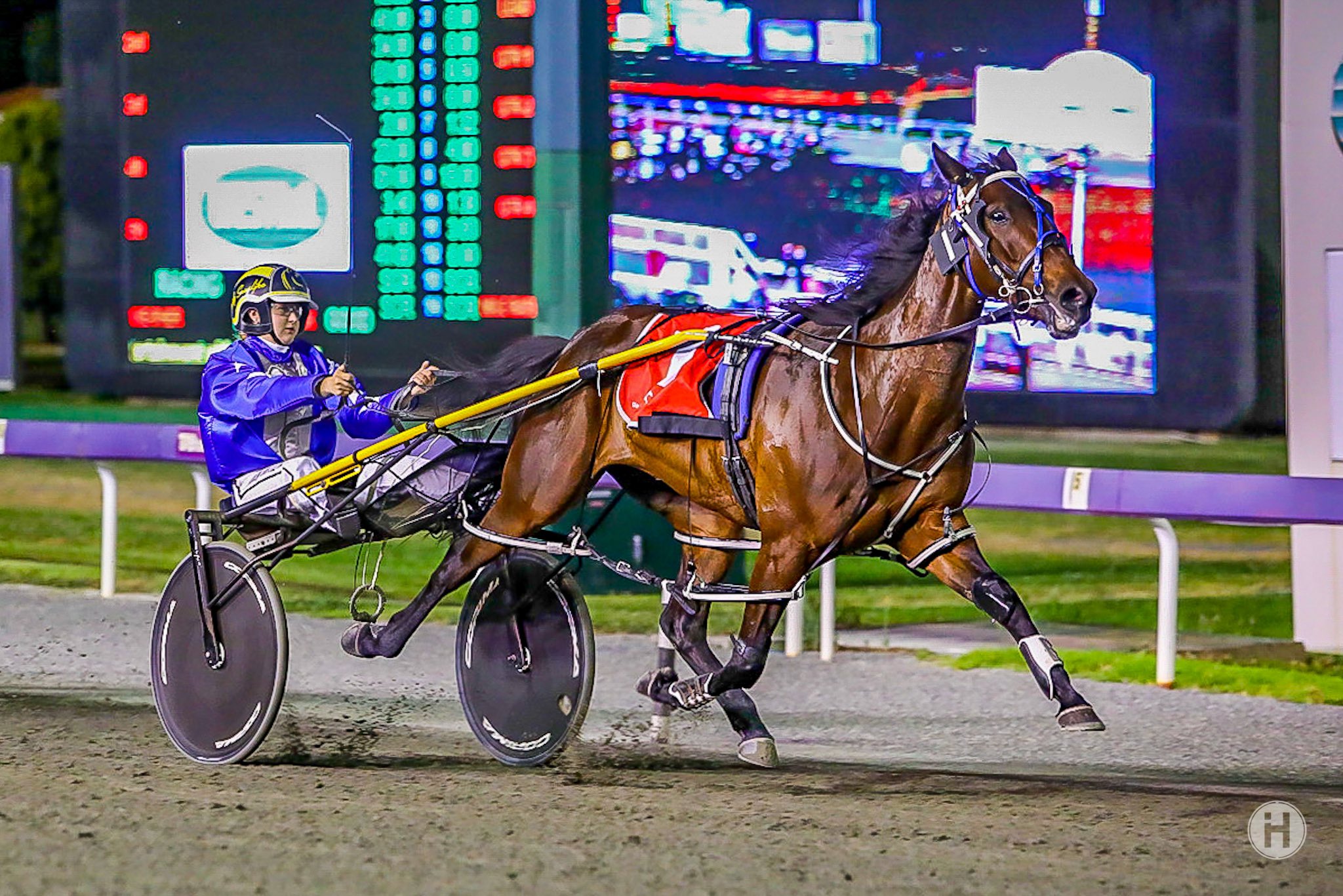 Savvy Bromac – Mares Classic 2021