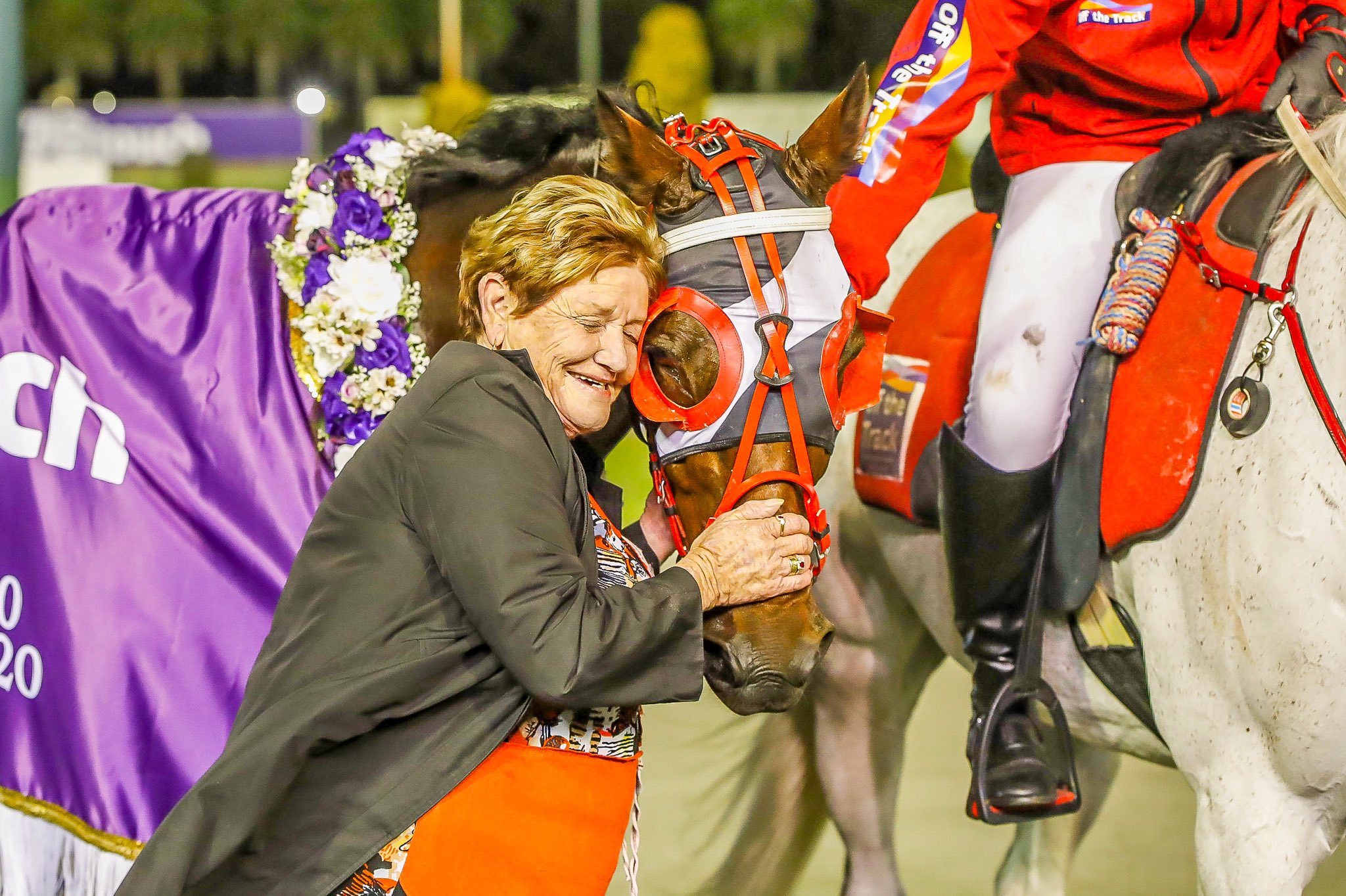 Vultan Tin – Pacing Cup Connections