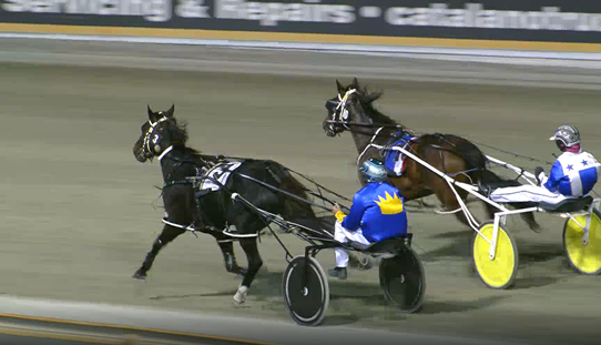 Typhoon Banner 220422