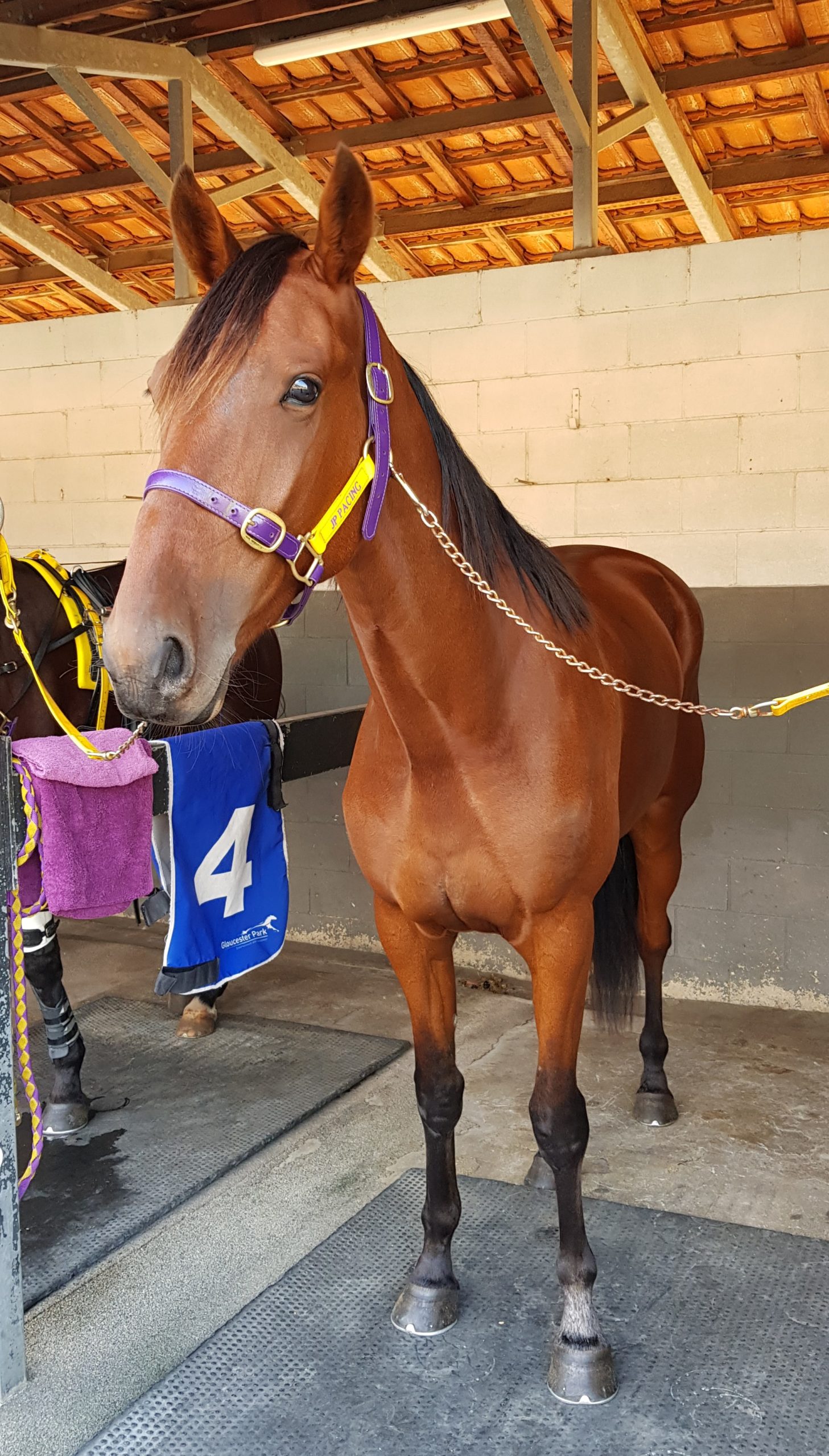 Valedictorian 2 cropped