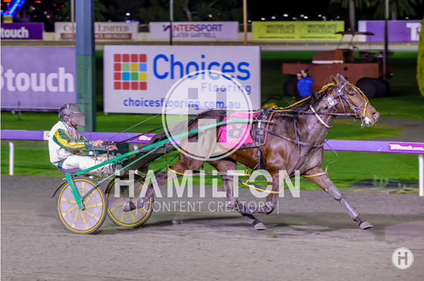 American Arma 100622