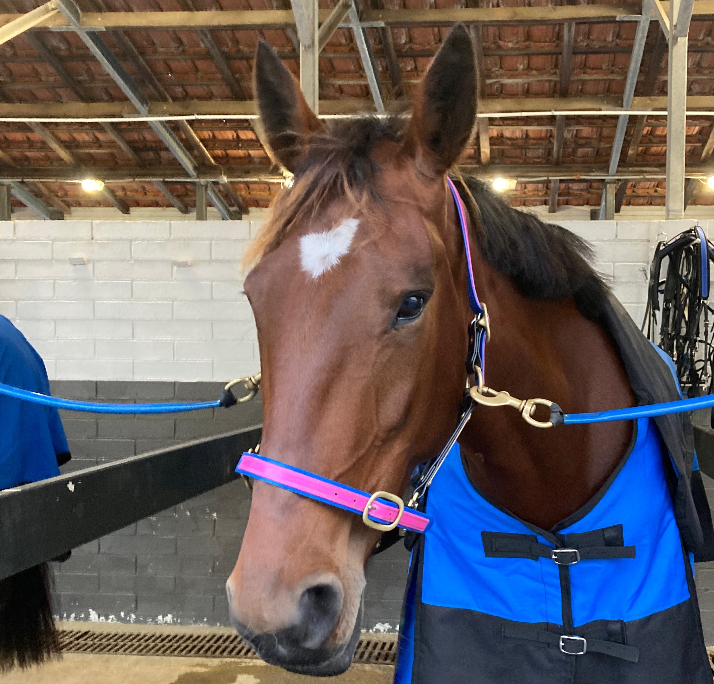 In The Spotlight 170622