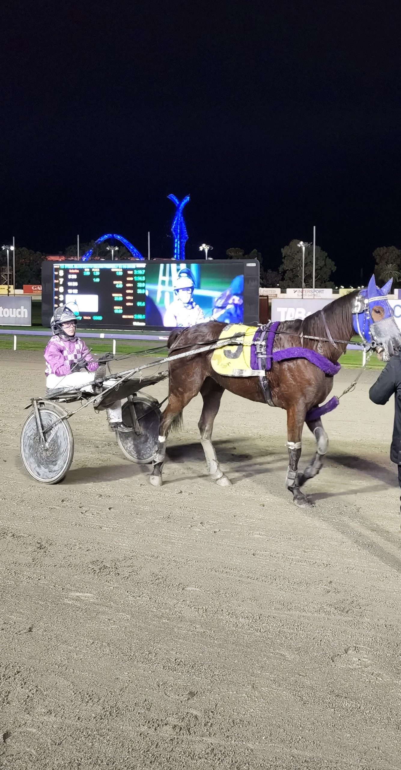 Majestic Dream crop 1