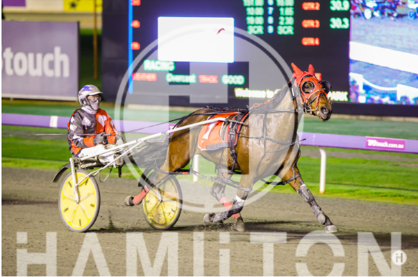 Moonlight Drive 220722