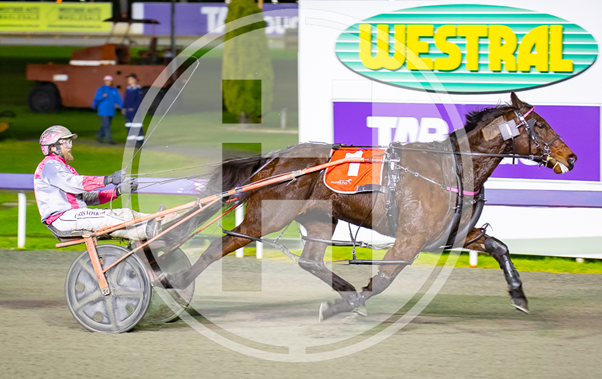 You Fly With Me 050722