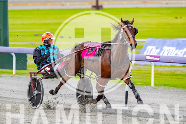 Free Wheeling 290722