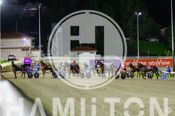 Horses lining up for race 290722