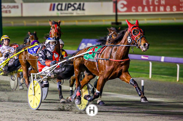 Beefour Bacardi 020922