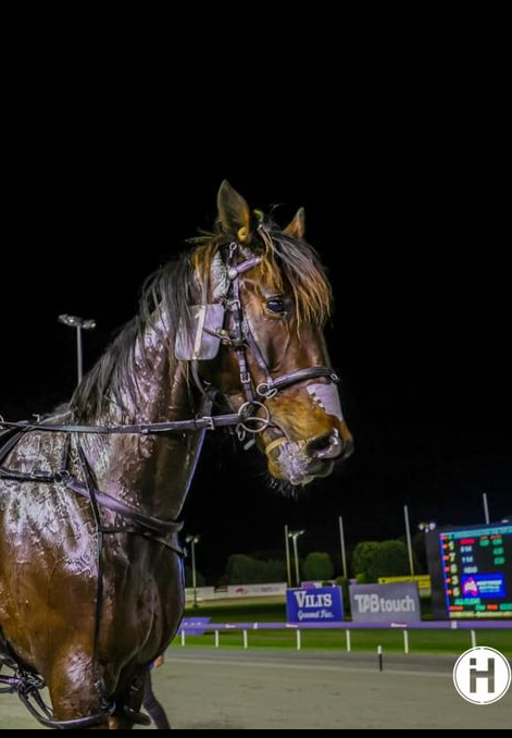 Lavra Joe cropped 260822