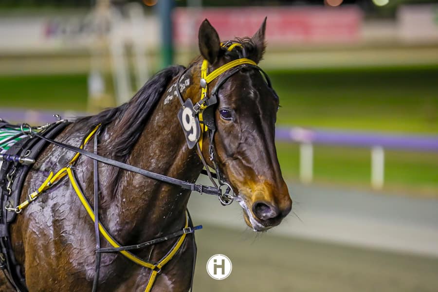 Magnificent Storm 141022