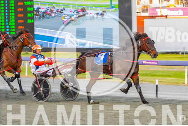 Mister Fortunia 181022