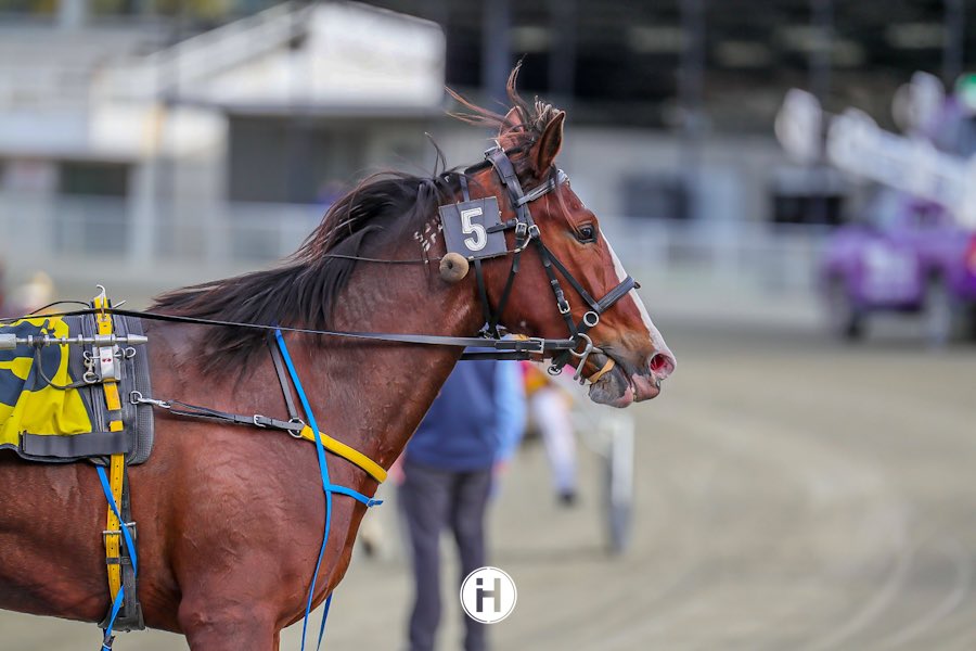 Sweet Vivienne 041022