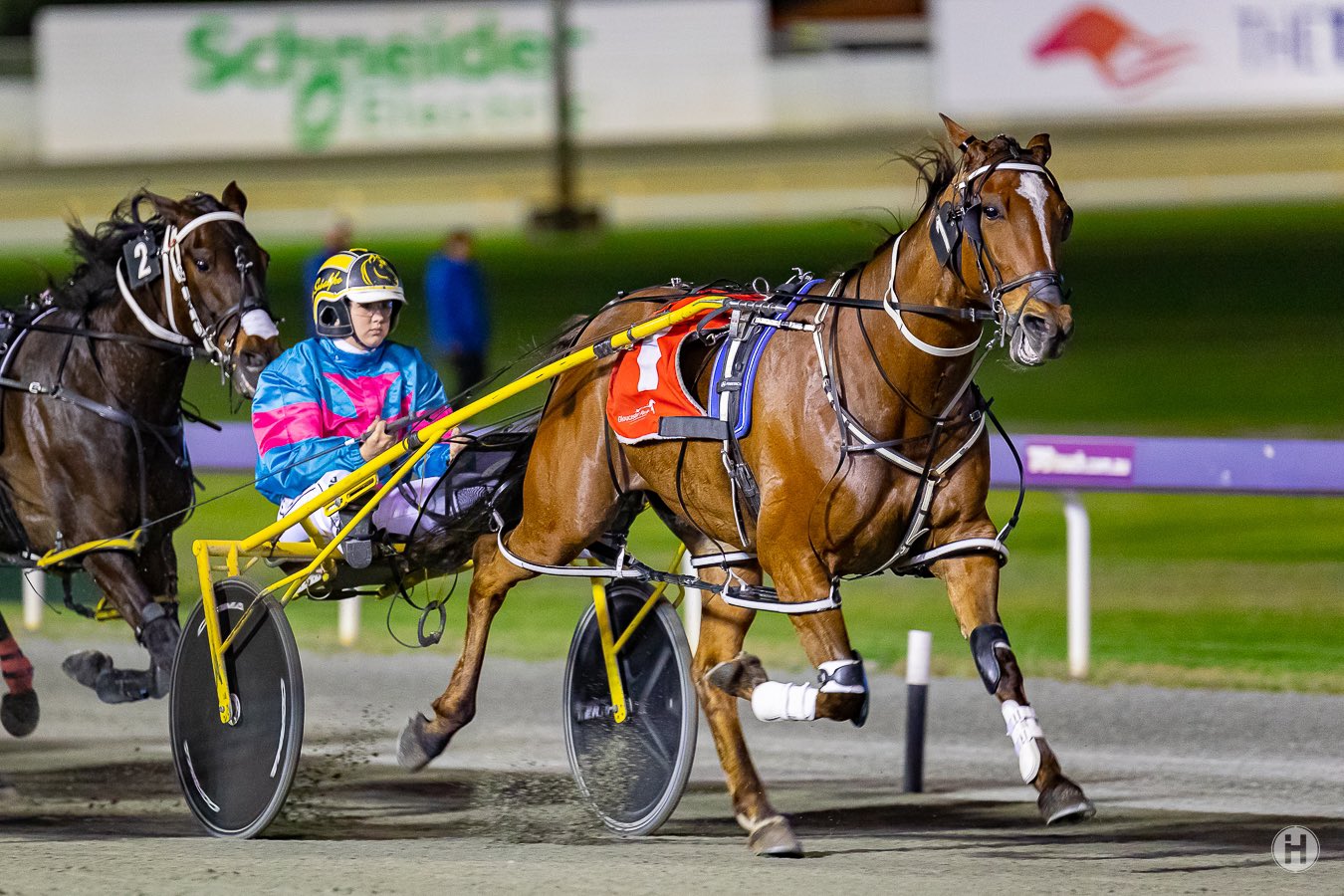 emily, jaspervellabeach