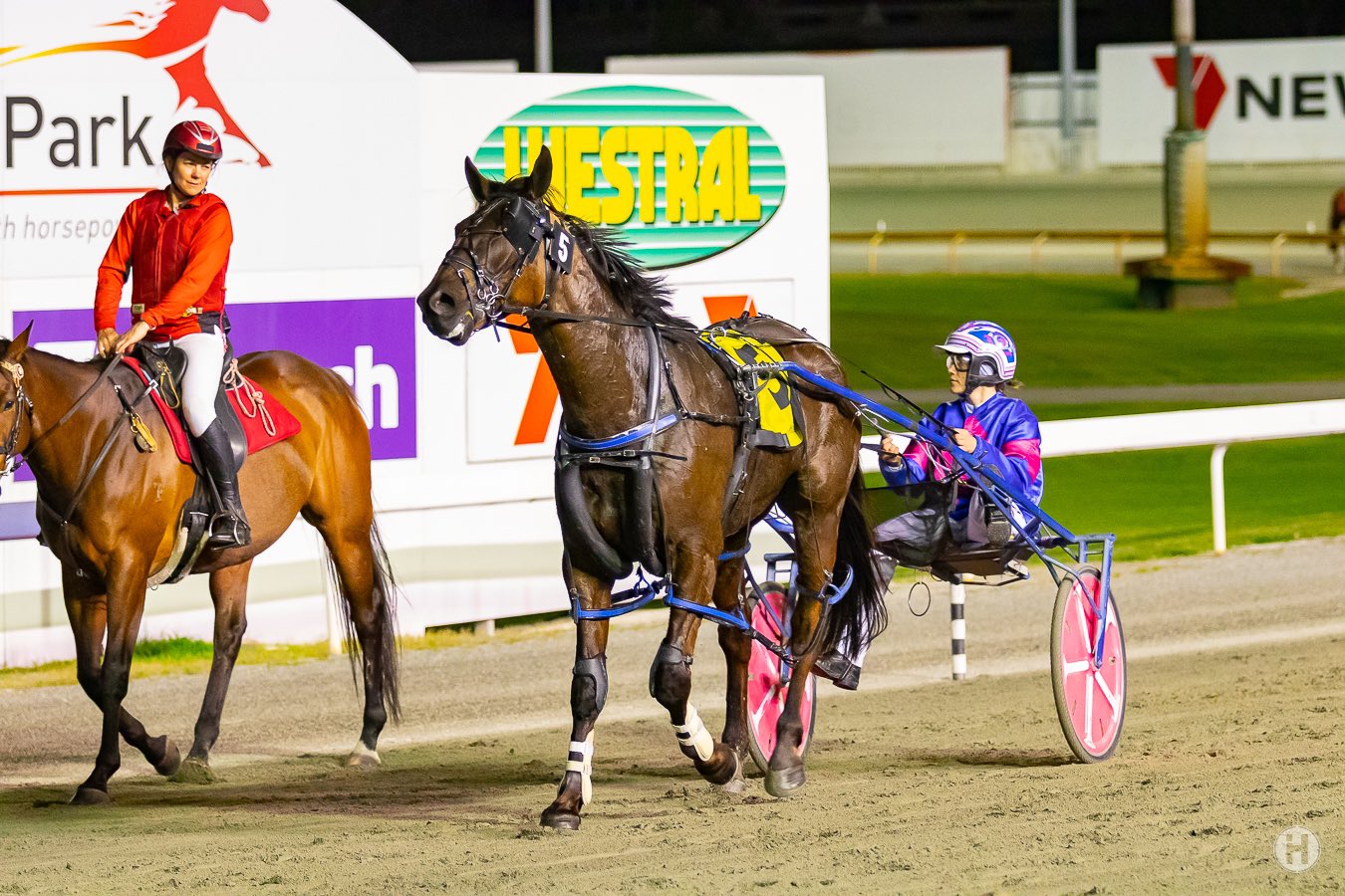 jett star deni roberts