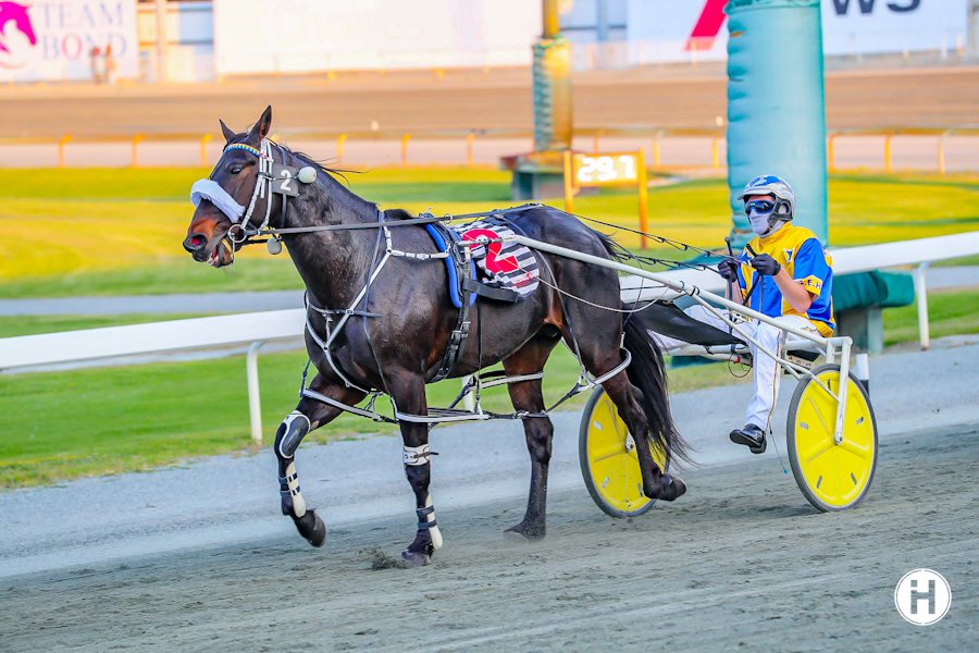 smart watch gary hall jnr