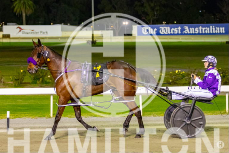 the amber hare jocelyn young