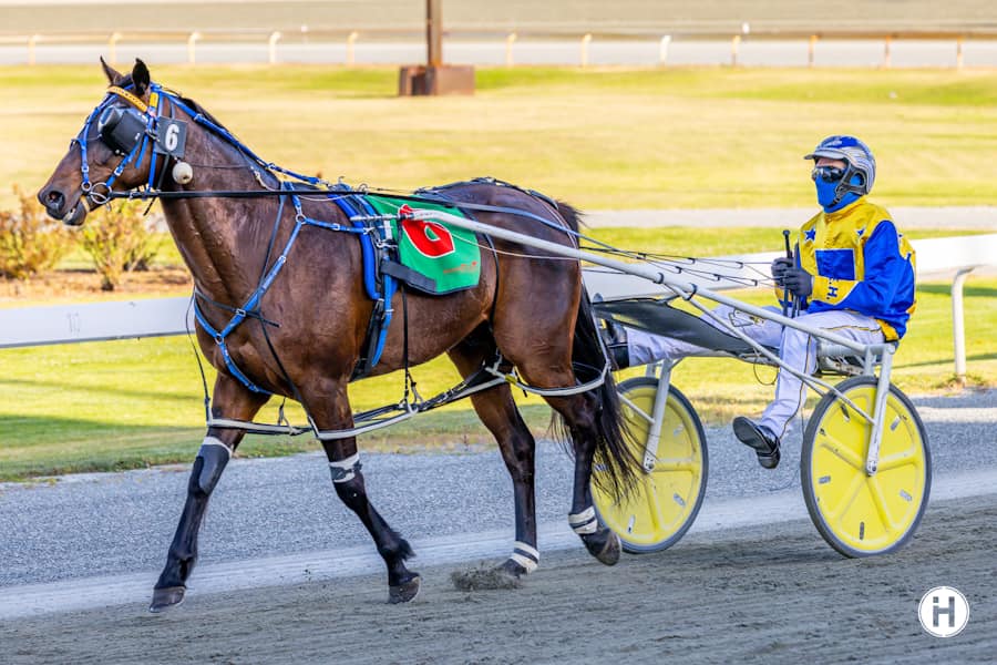 Prince of Pleasure 111122