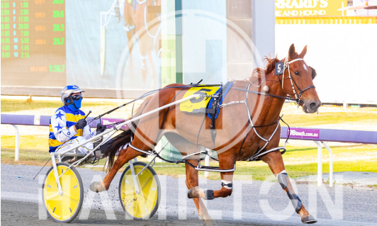 Armed Reactor 041122