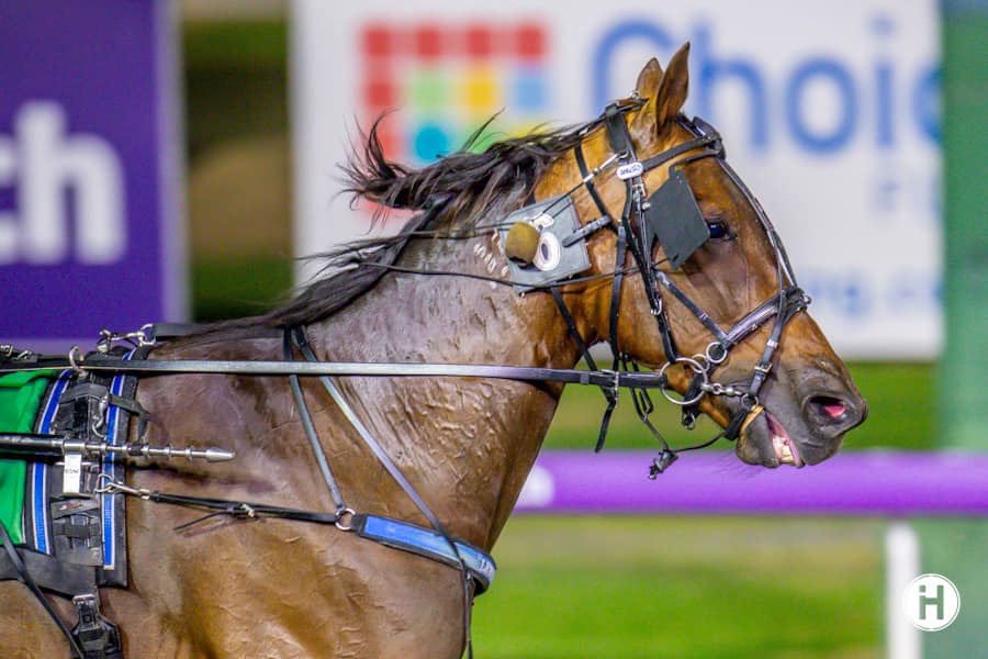 Pierre Whitby 130123