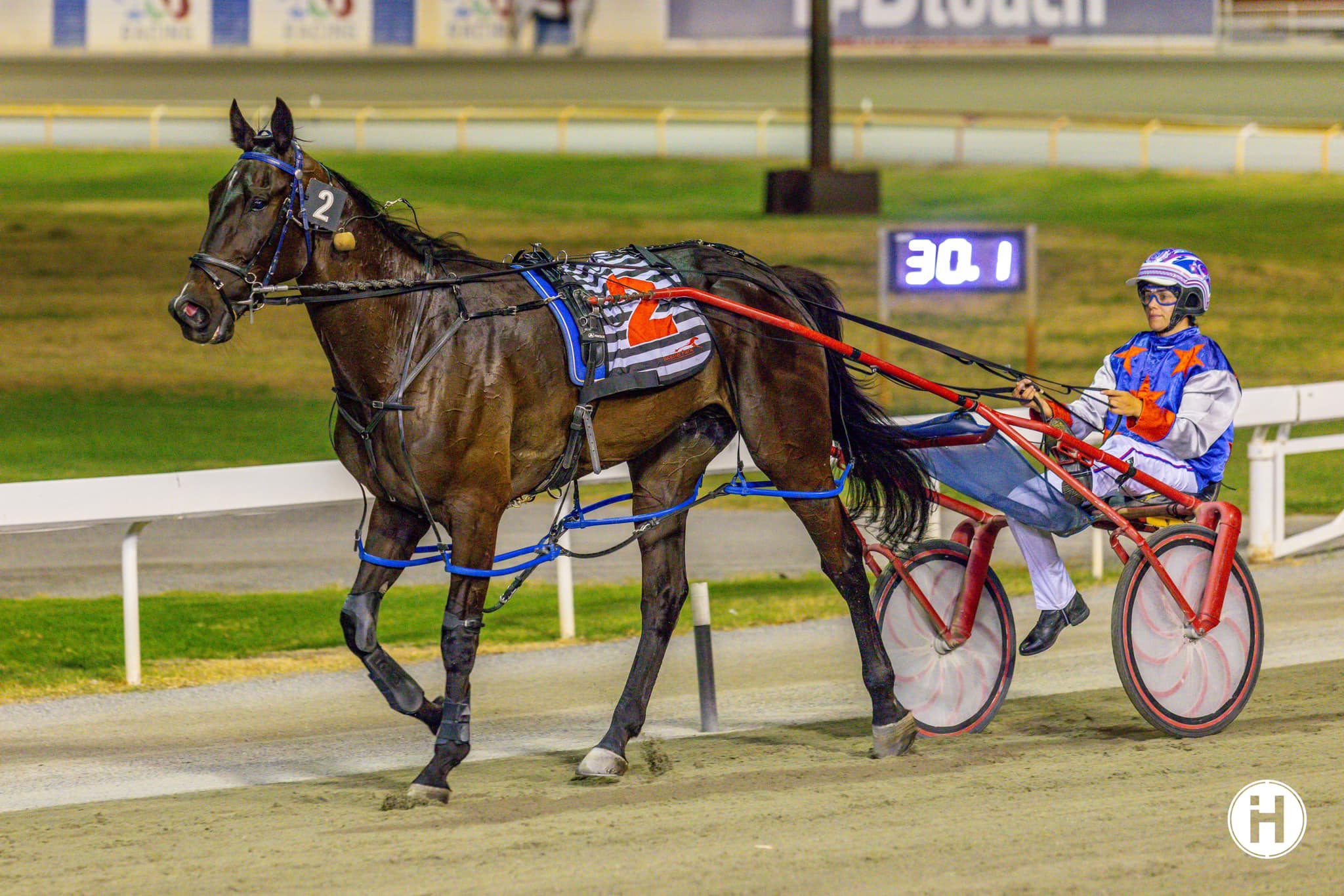 Whoswhointhezoo 200123