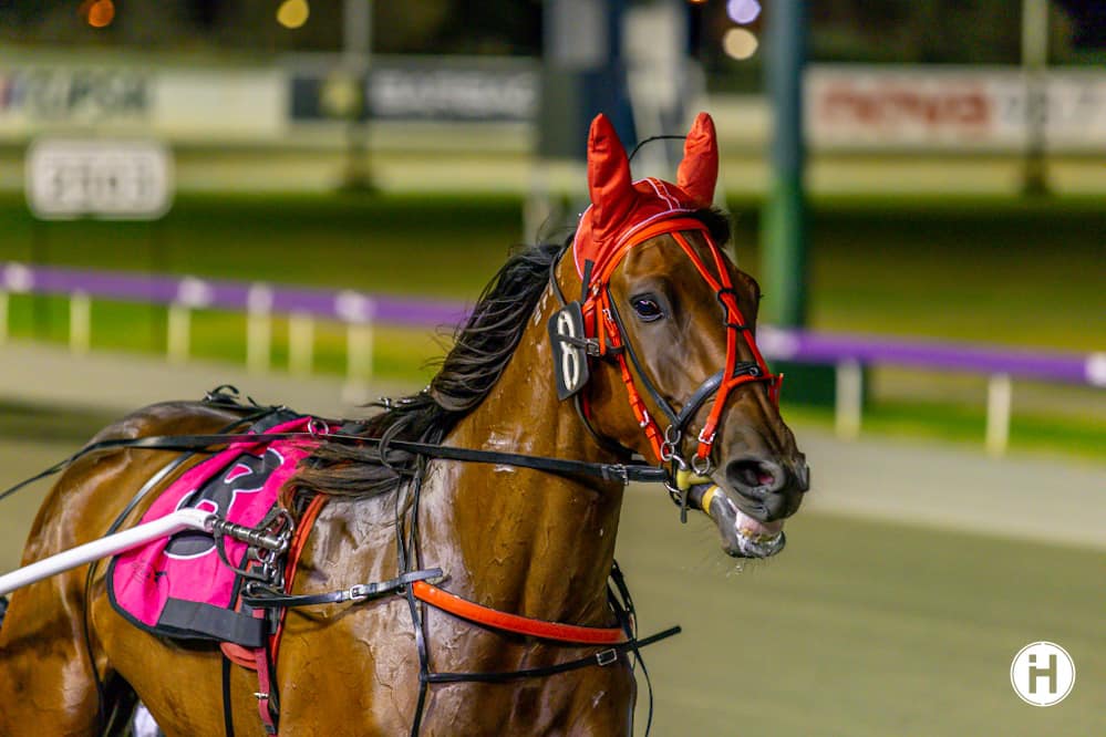 Nevermindthechaos 030223