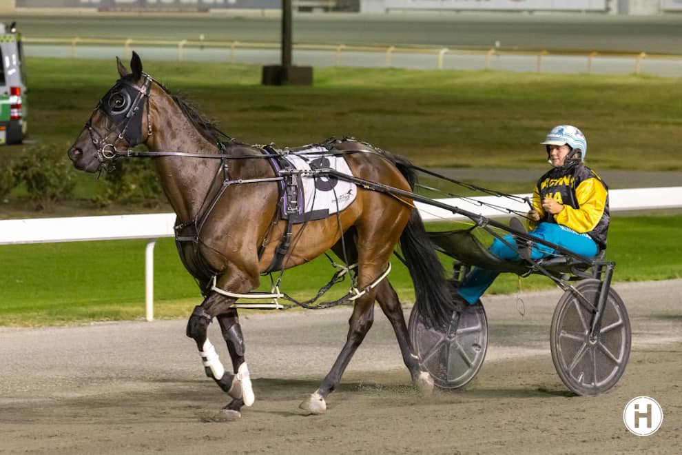 Rocknroll Elliot 240223