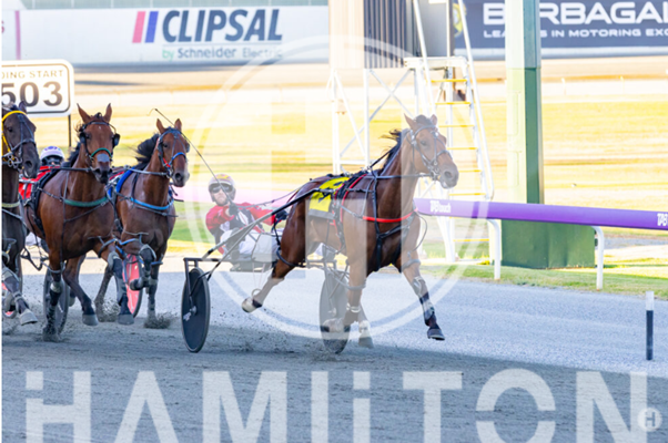 Talks Up A Storm 170223