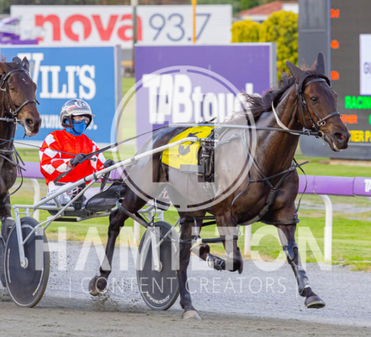 Arma Einstein – M Brown 070423