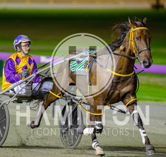 Hector – M Miller 070423