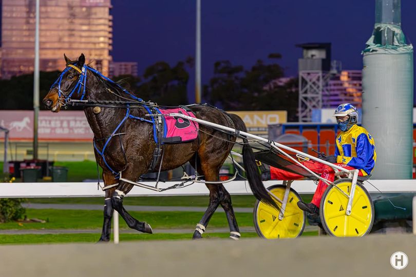 Prince Of Pleasure 190523