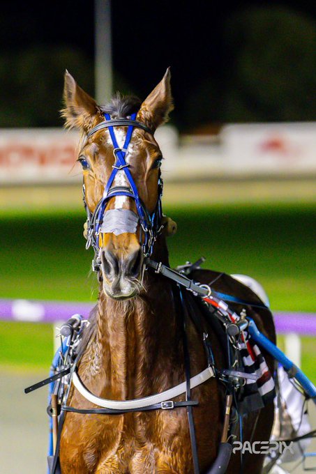 Classic Choice 230623