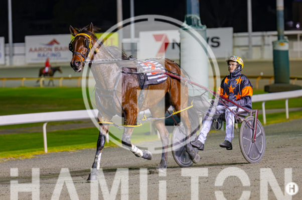 Soho Dow Jones 1 020623