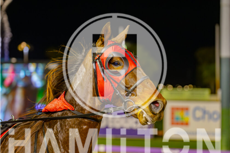 Watching our coin 230623