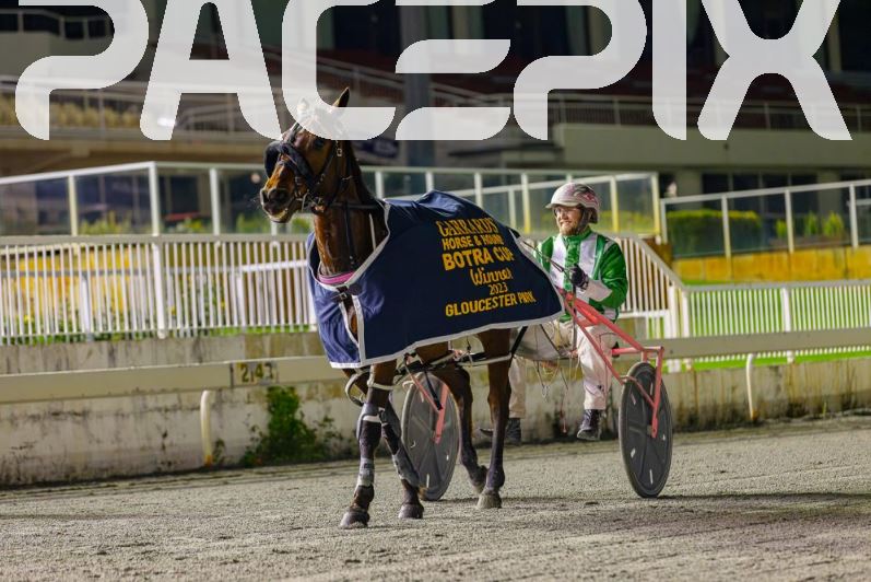 Carabao1 – Chris Voak 140723