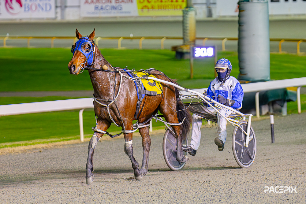 Cloud Nine 1 – S McDonald 210723