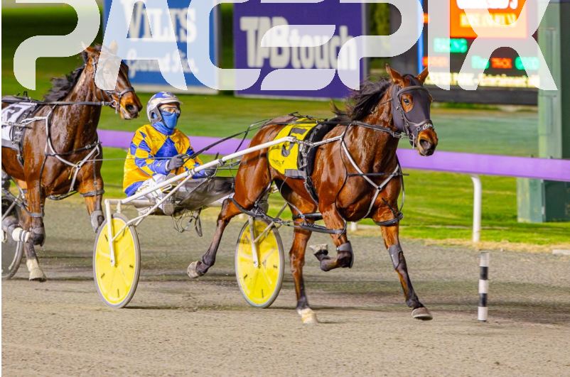 Heeza Vibe – G Hall Jnr 140723