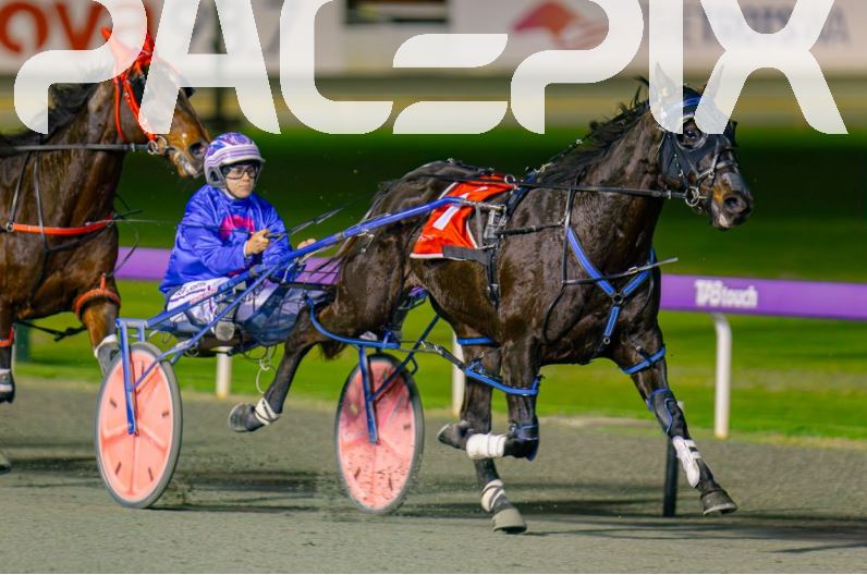 Steel The Show – Deni Roberts 140723