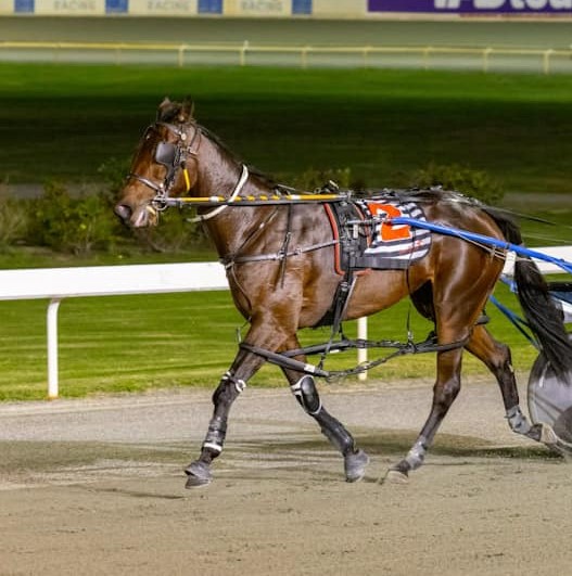 Xceptional Arma 1 210423