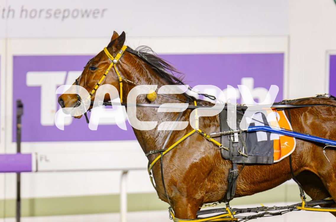 Cyclone Charlotte 280723