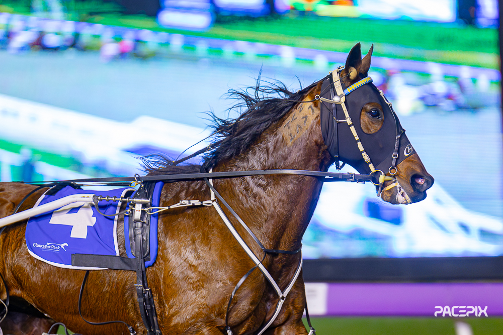 Master Publisher 180823